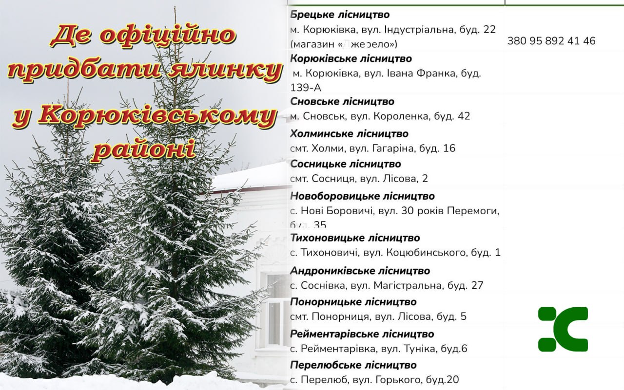 Де у Корюківському районі можна офіційно купити ялинки?