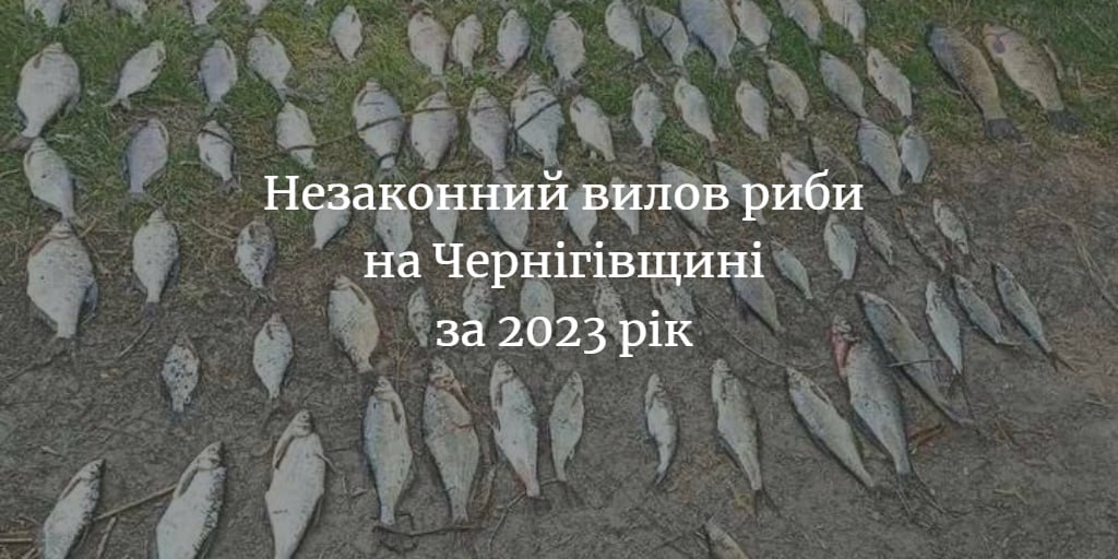 4 189 194 грн – сума збитків рибному господарству області за 2023 рік