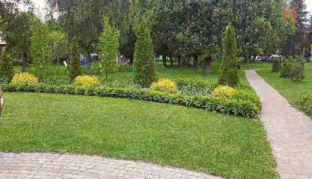 ВІДЕОФАКТ. Центральний парк Сосниці