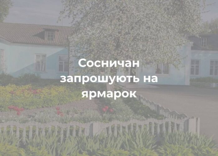 АНОНС. Благодійний ярмарок в Сосницькому НРЦ