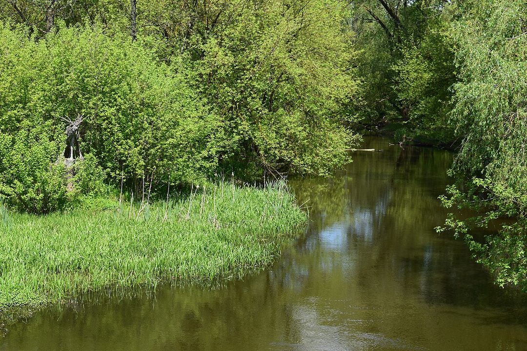 СОСНИЦЯ ІСТОРИЧНА. Походження назви “Убідь”