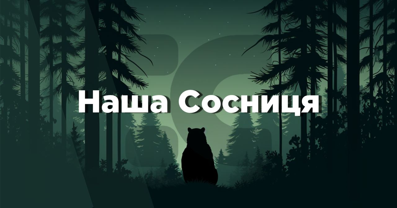 Про інтернет-видання “Наша Сосниця”