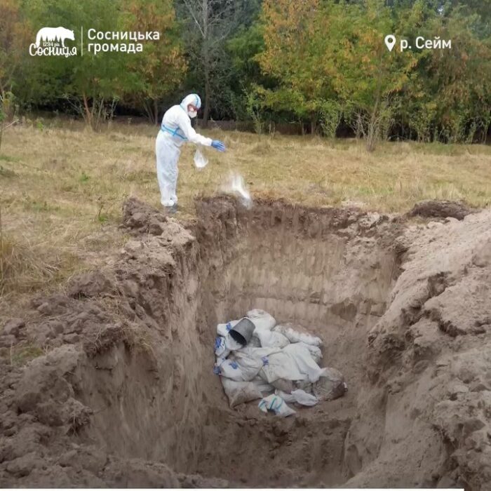 На Сосниччині виловили більше тонни загиблої риби
