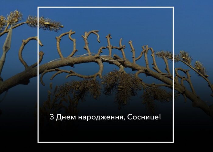 Соснице, зі святом!