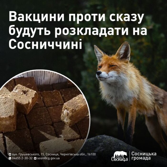 Диких тварин вакцинуватимуть проти сказу