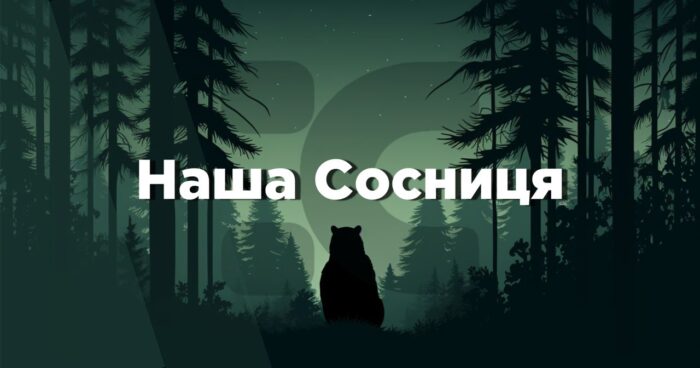 Про інтернет-видання “Наша Сосниця”