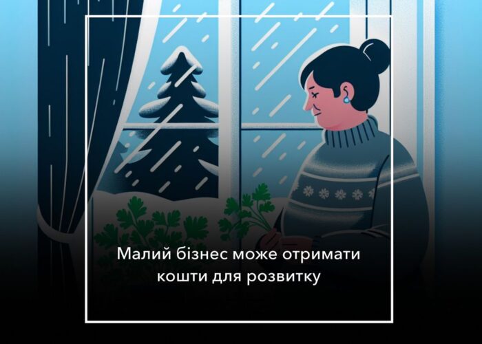Гранти для розвитку бізнесу: як отримати підтримку від міжнародної організації Данії у справах ВПО