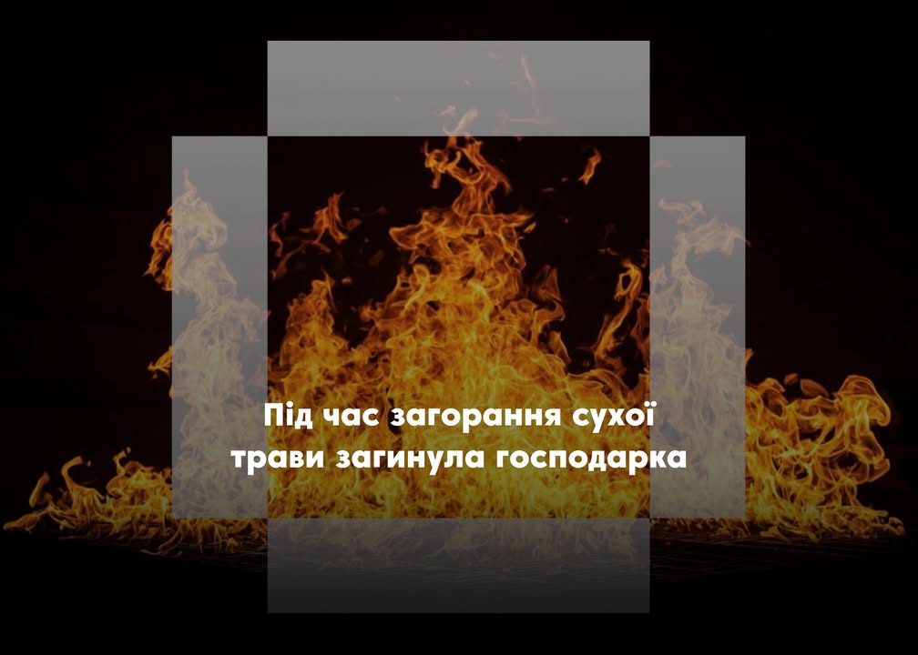 У селі Гай внаслідок пожежі на відкритій території загинула літня жінка