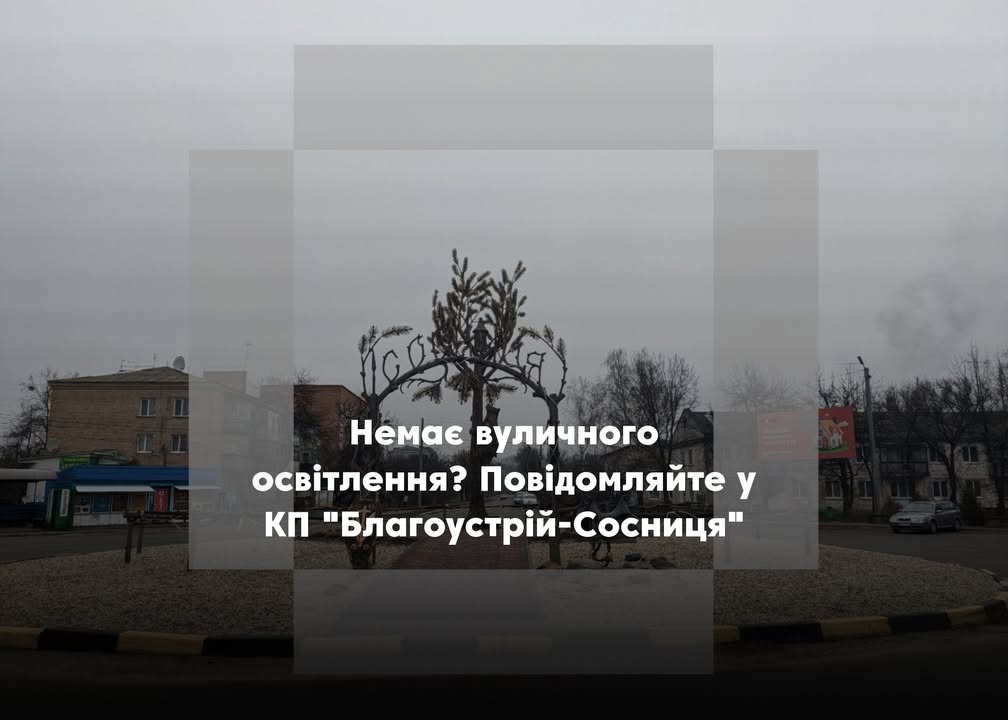 ПОВІДОМЛЕННЯ ЧИТАЧА. “Чому немає вуличного освітлення на В’юнищі?”
