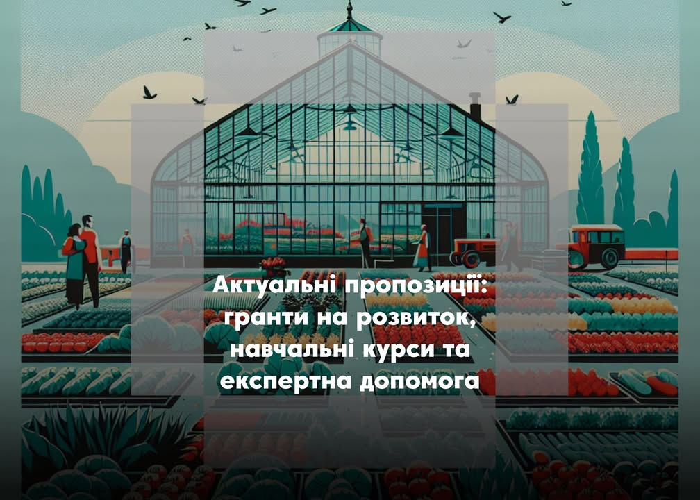 🎯Добірка актуальних грантів та програм підтримки