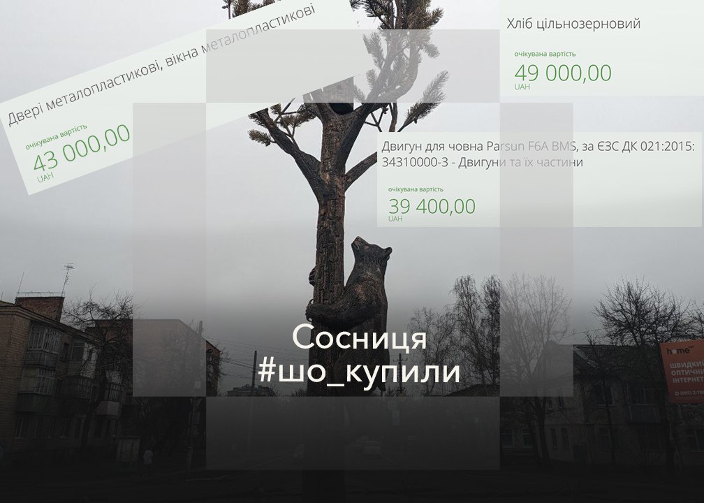 #шо_купили, Фрукти на 276 912 гривень. Що ще замовляли в квітні 2025-го року в Сосниці?