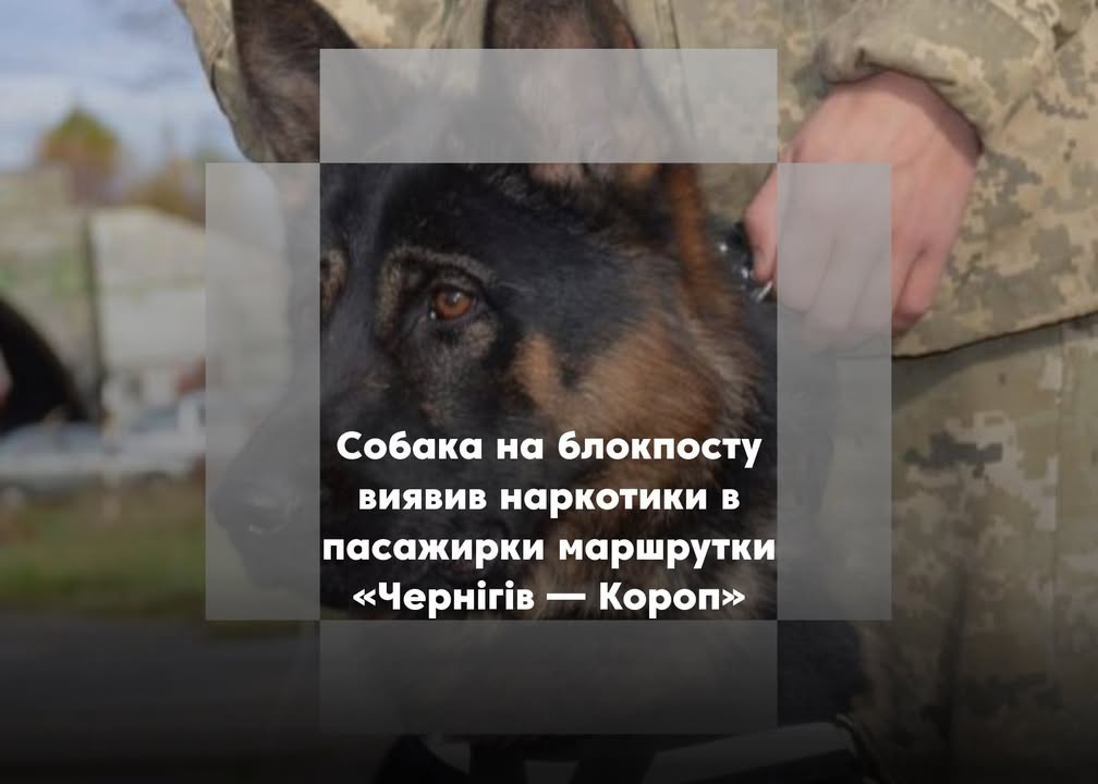 Наркотики у ротовій порожнині: на блокпосту зупинили пасажирку маршрутки «Чернігів — Короп»