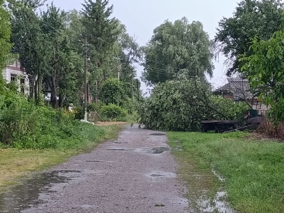 ФОТОФАКТ. Наслідки негоди у Сосниці