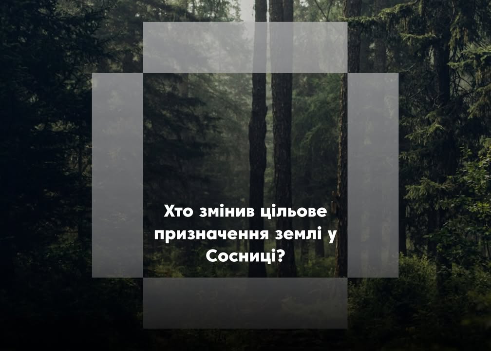Битва за 2 гектари лісу: хто правий?