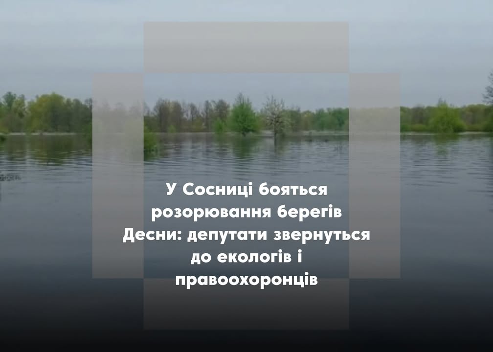 Сесія Сосницької ради: що вирішили депутати щодо оренди земель біля Десни