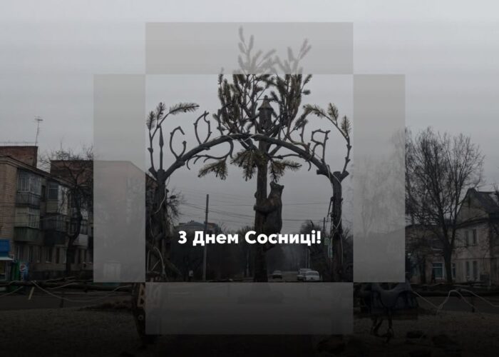 Дорогі сосничани! Вітаємо вас із Днем нашого рідного селища!