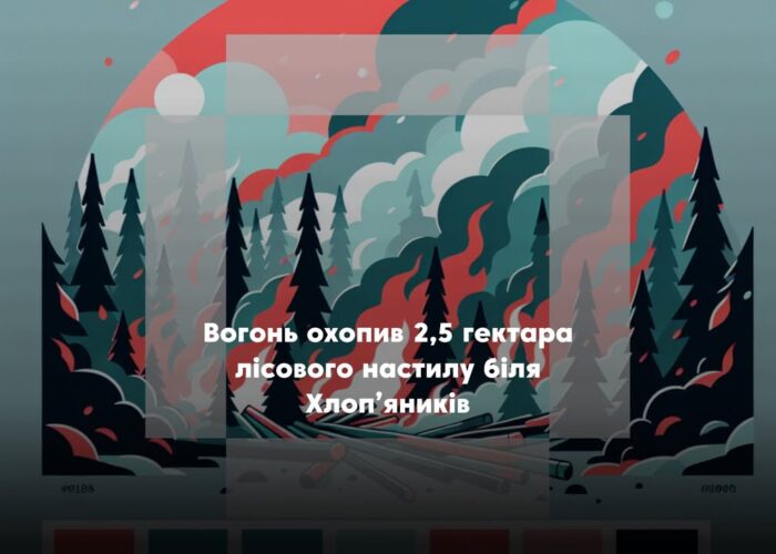 Пожежа в лісі біля Хлоп’яників: вигоріло 2,5 га настилу