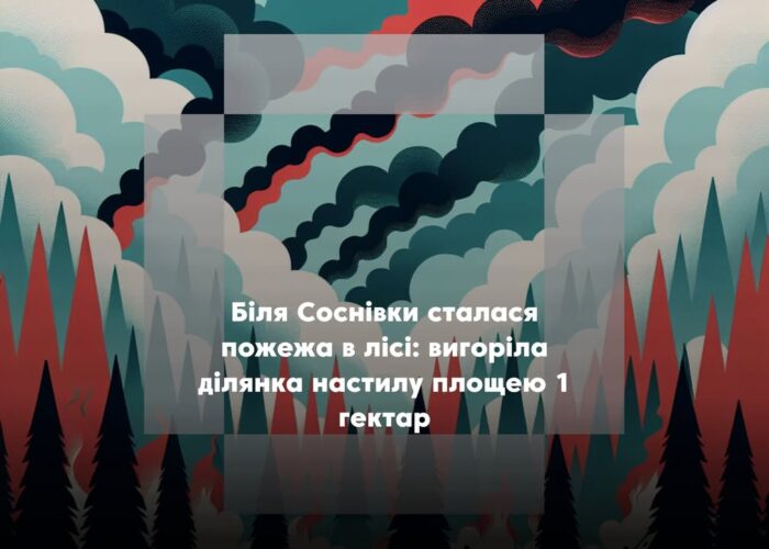 У Сосницькій громаді сталася лісова пожежа