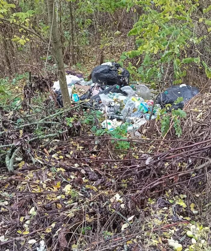 Штраф за стихійні звалища – до 1360 грн