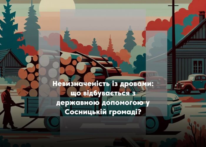 Хто в Сосницькій громаді відповідає за допомогу на дрова: відповідь селищного голови