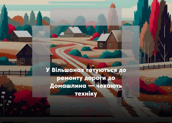 У Вільшанах планують ремонт дороги до Домашлина