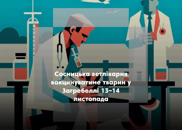 У Загребеллі проведуть безкоштовну вакцинацію тварин від сказу