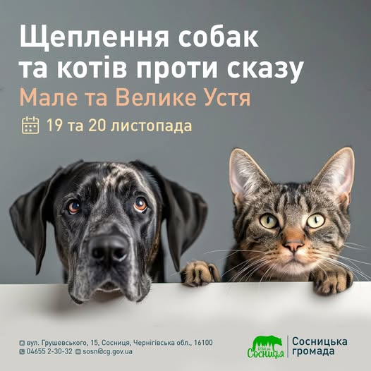 У Сосницькій громаді проведуть безкоштовну вакцинацію котів та собак проти сказу