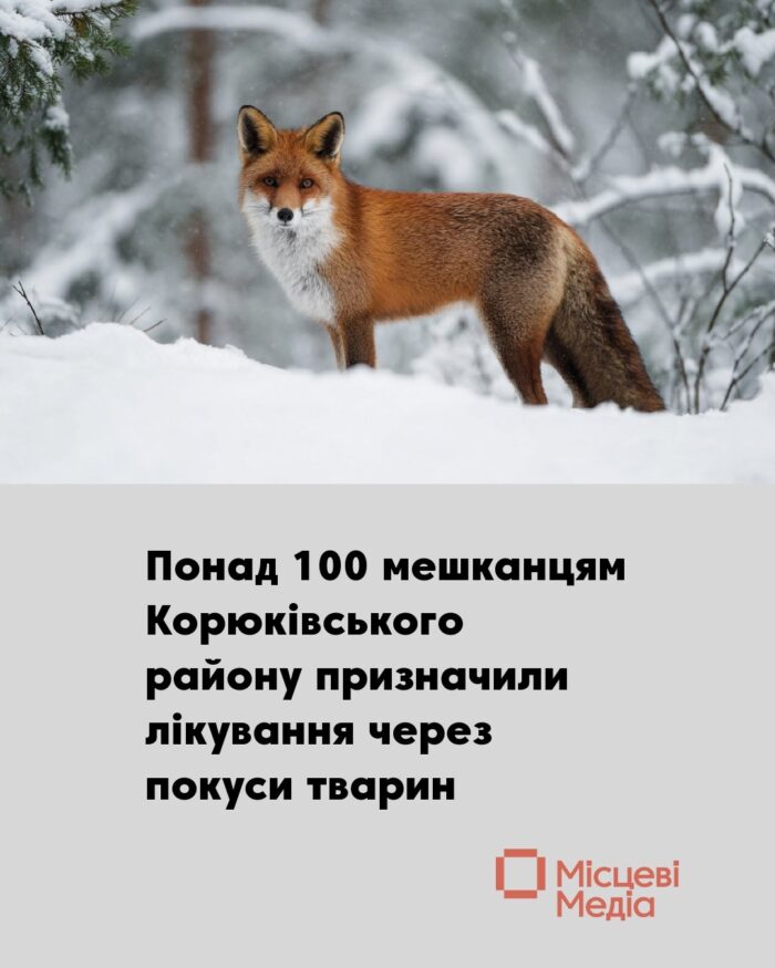 Кількість нападів тварин у Корюківському районі зросла на 62%