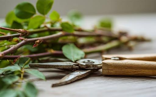 КП «Благоустрій-Сосниця» пропонує послугу подрібнення гілок: ціни та контакти