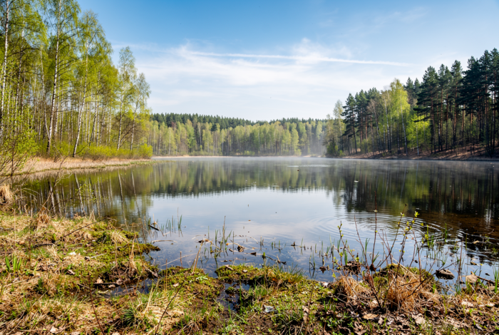 Погода у Сосниці на 18.04.2026