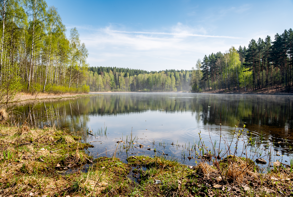 Погода у Сосниці на 18.04.2026