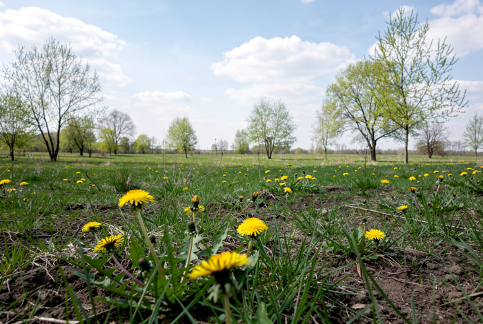 Погода у Сосниці на 20.04.2026