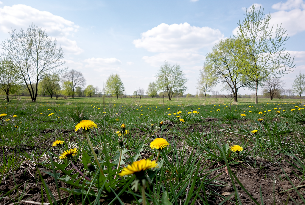 Погода у Сосниці на 20.04.2026