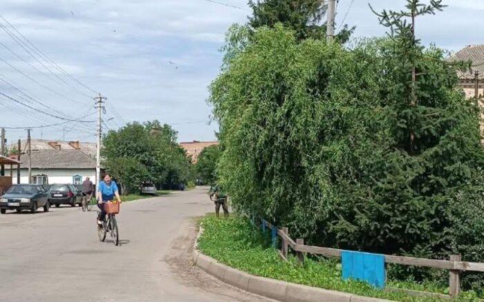 У Сосниці дерева на перехресті обмежують огляд водіям: коментар селищної ради