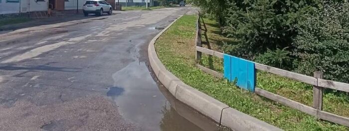 На перехресті у Сосниці обрізали гілки