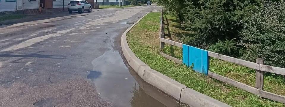 На перехресті у Сосниці обрізали гілки
