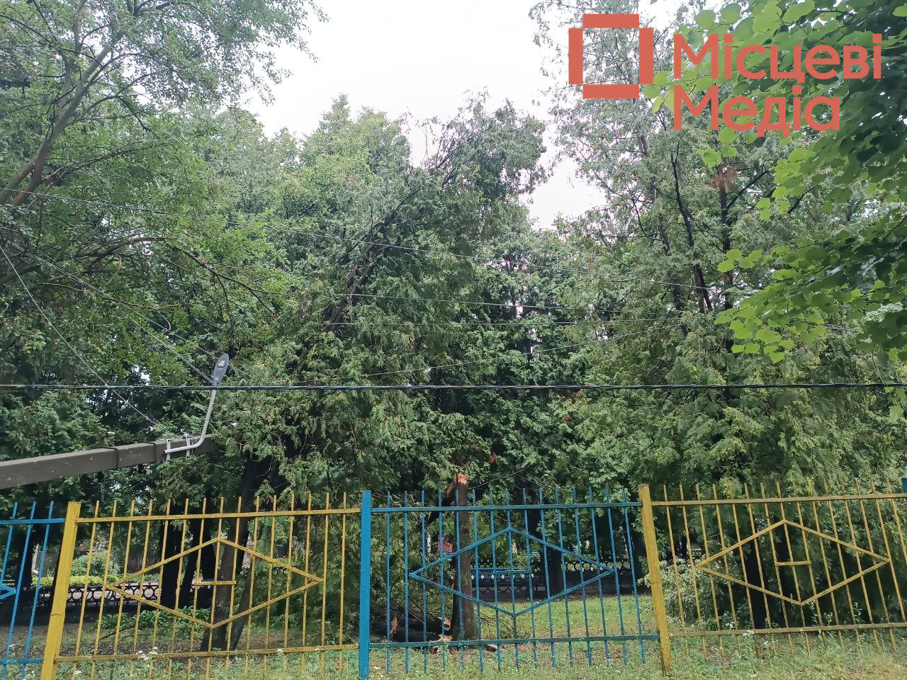 ФОТОФАКТ. Наслідки вчорашньої негоди у Сосниці