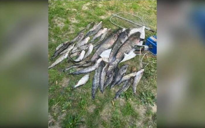 Жителів Сосниці затримали на Десні за браконьєрство електровудкою